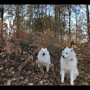 Meet your Posher, Scott